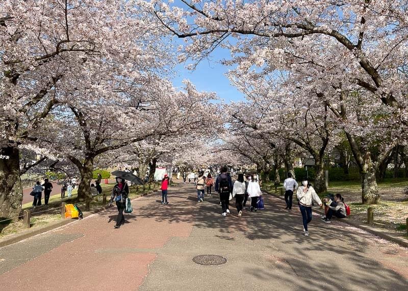 Guide To Expo 70’ Commemorative Park - Osaka.com