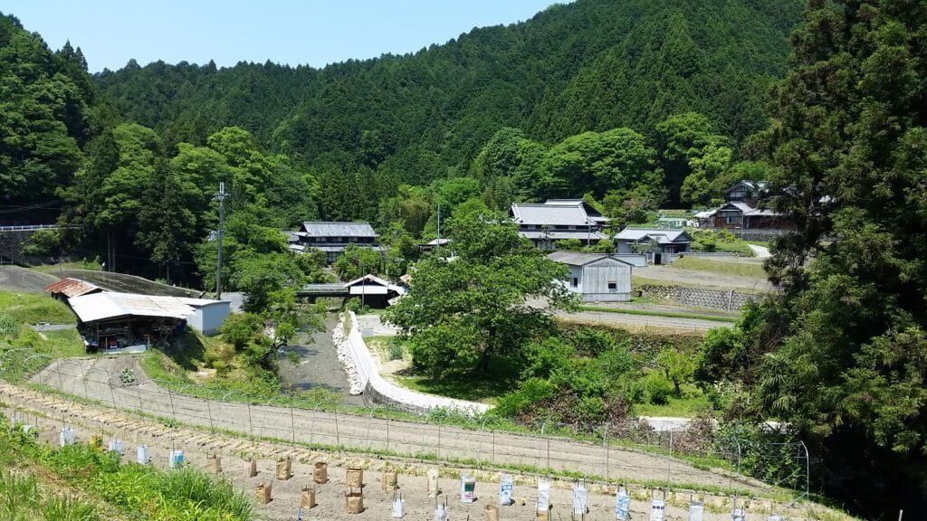 Kawachinagano - A Hidden Side of Osaka - Osaka.com