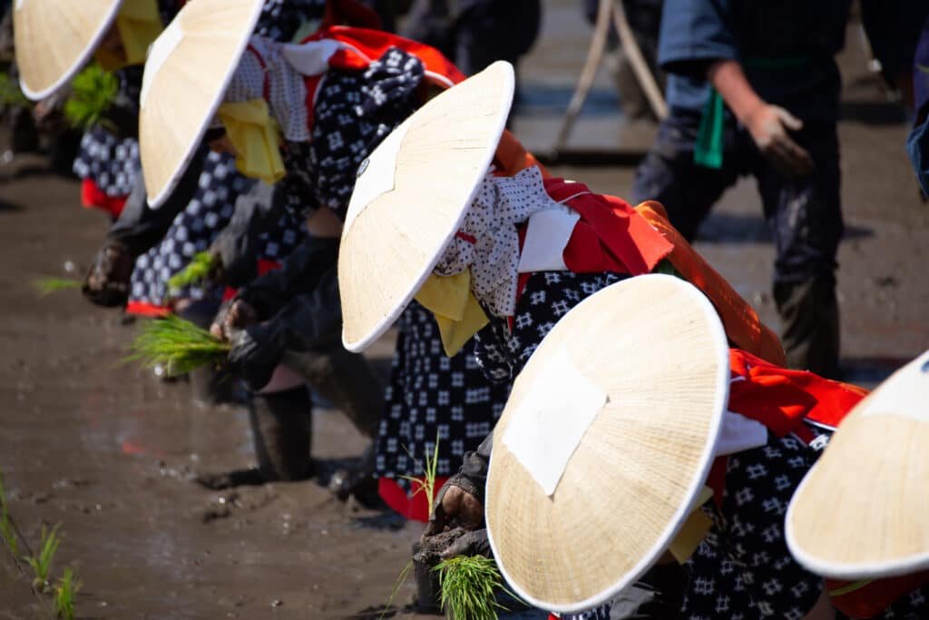 otaue shinji festival