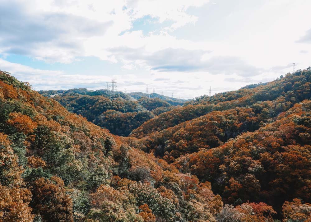 autumn in Osaka