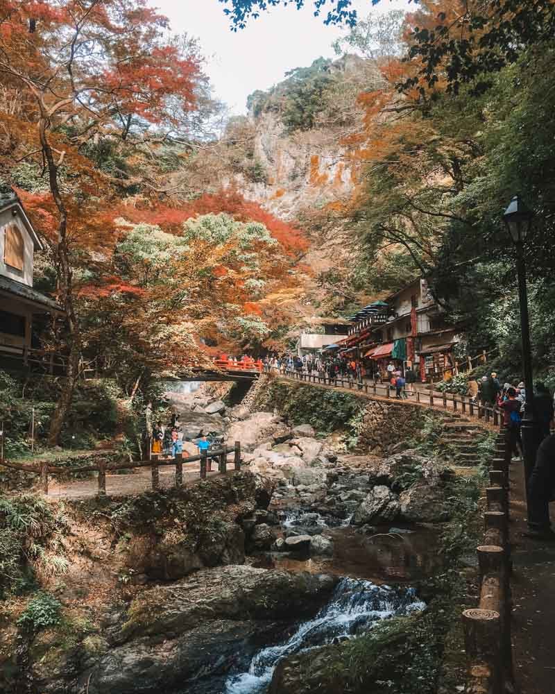 autumn in Osaka