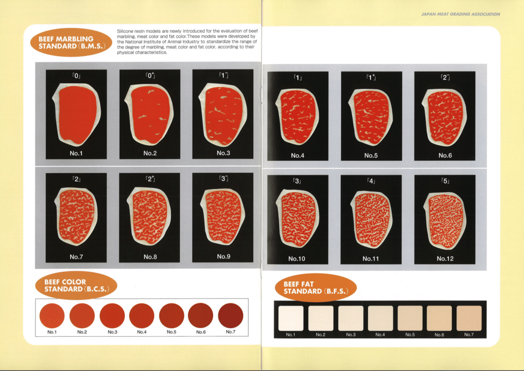 Grading Japanese Wagyu beef