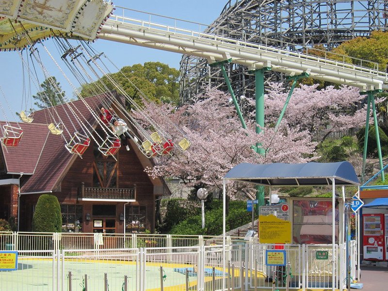 Cherry Blossom Viewing: Amusement Park