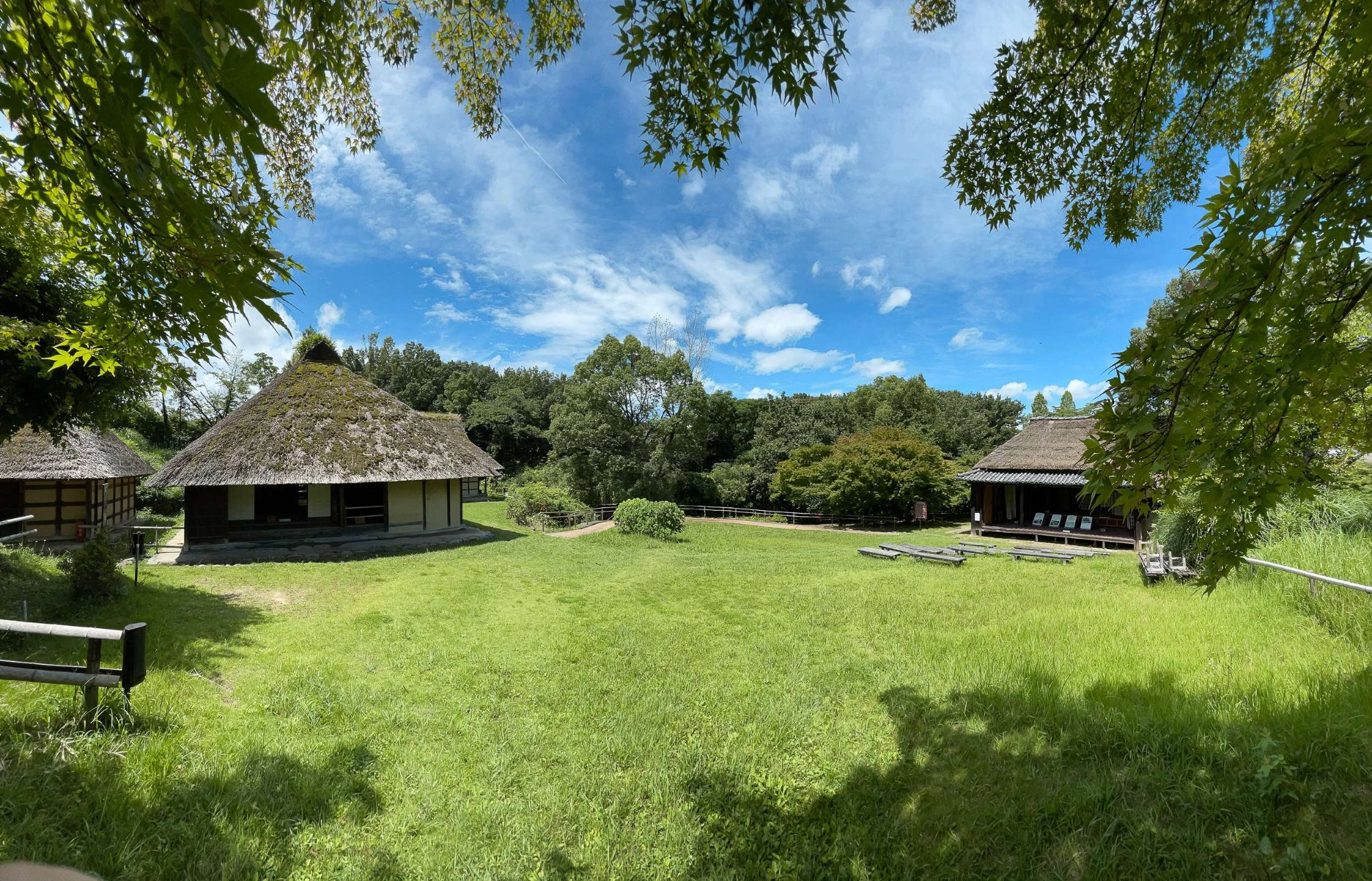 Experience Japanese Countryside in Hattori Ryokuchi Park, Osaka