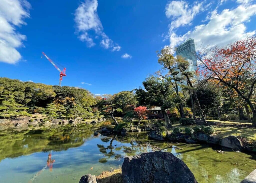 A favorite among locals- the peaceful koi pond at Fashion Island