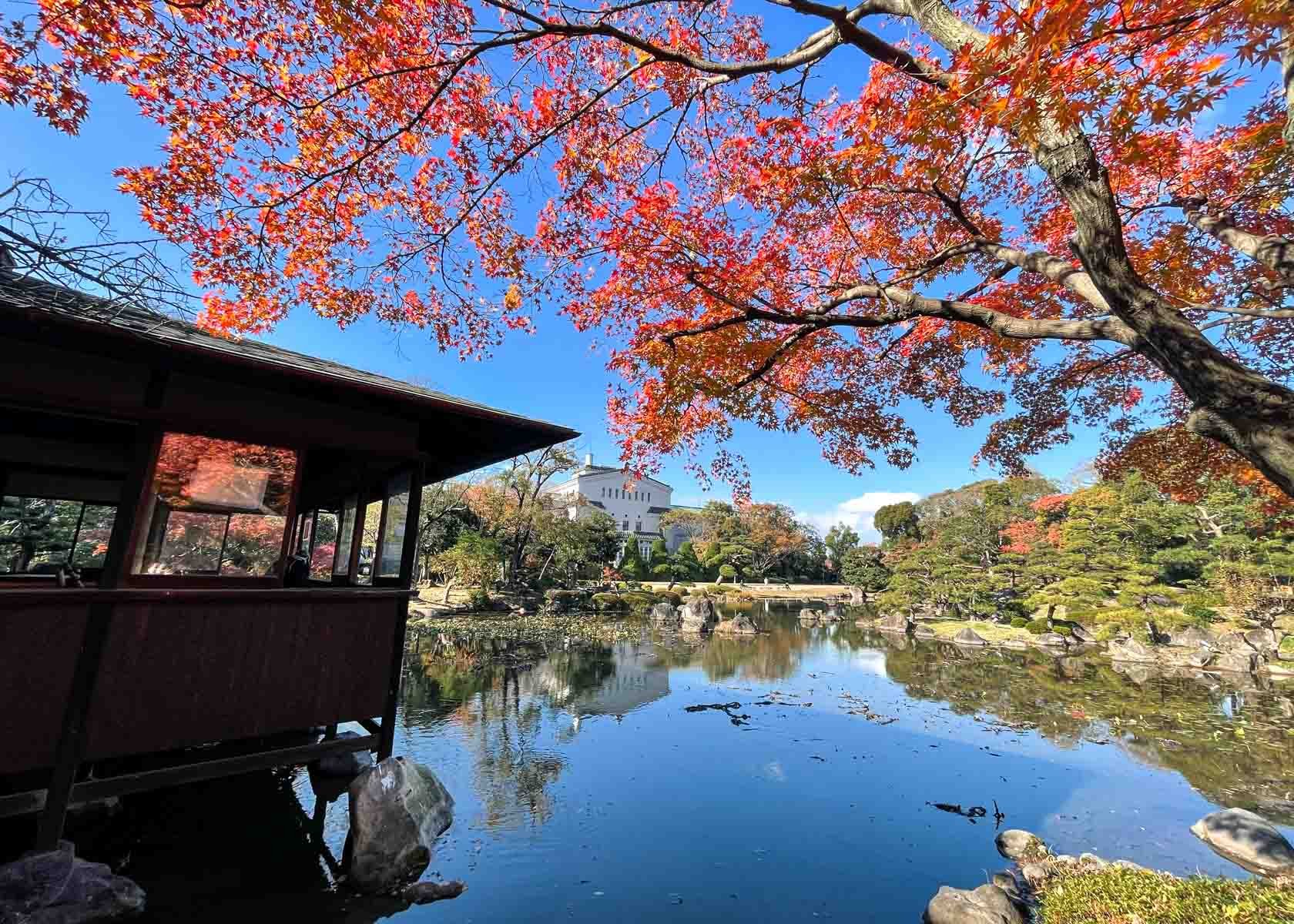 A favorite among locals- the peaceful koi pond at Fashion Island