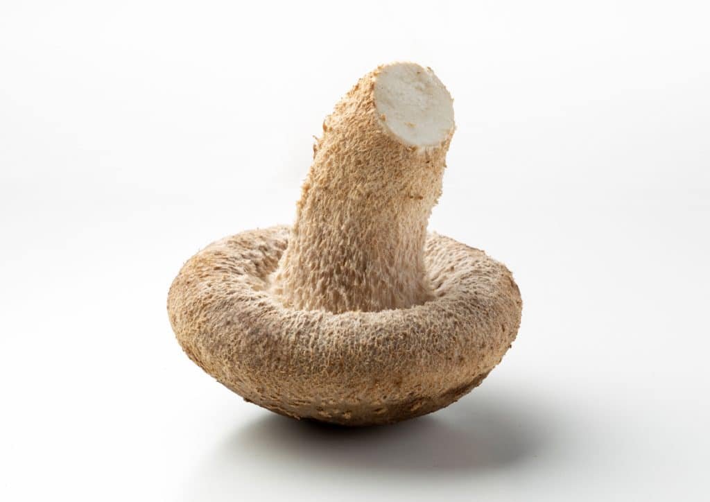 Shitake Mushrooms - Dried, Medium Cap by Gourmet Imports from China - buy  Vegetables and Produce online at Gourmet Food World