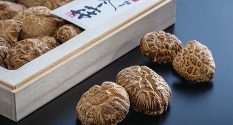 The Magic of Shiitake Mushrooms - Otamot Foods