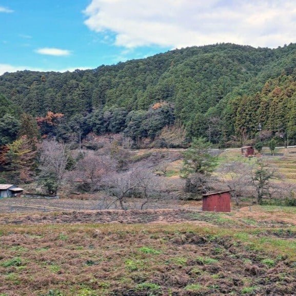 Rural Osaka